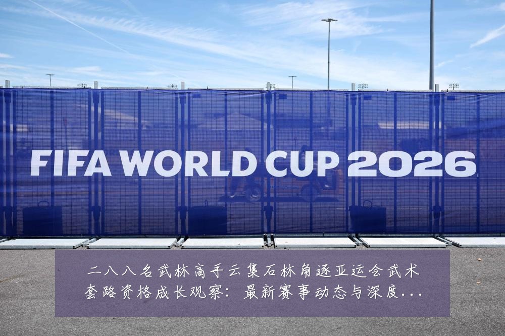 二八八名武林高手云集石林角逐亚运会武术套路资格成长观察:最新赛事动态与深度分析